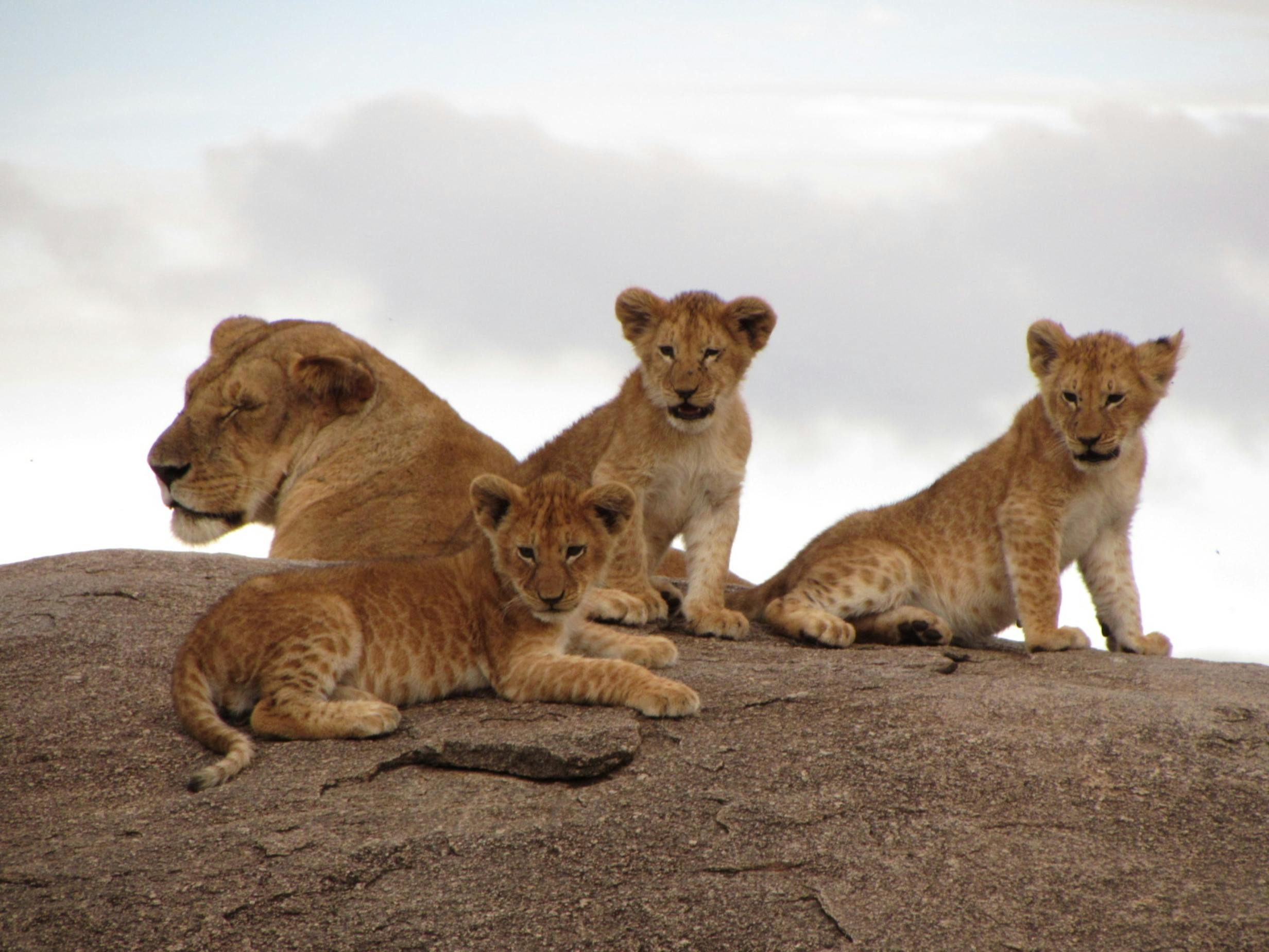 Ngorongoro Crater Floor